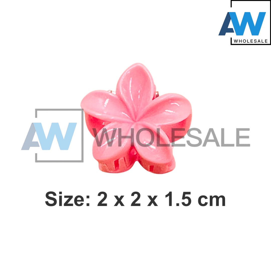 HC-56 (12 cards) Glossy 2.5 cm Hair Clips