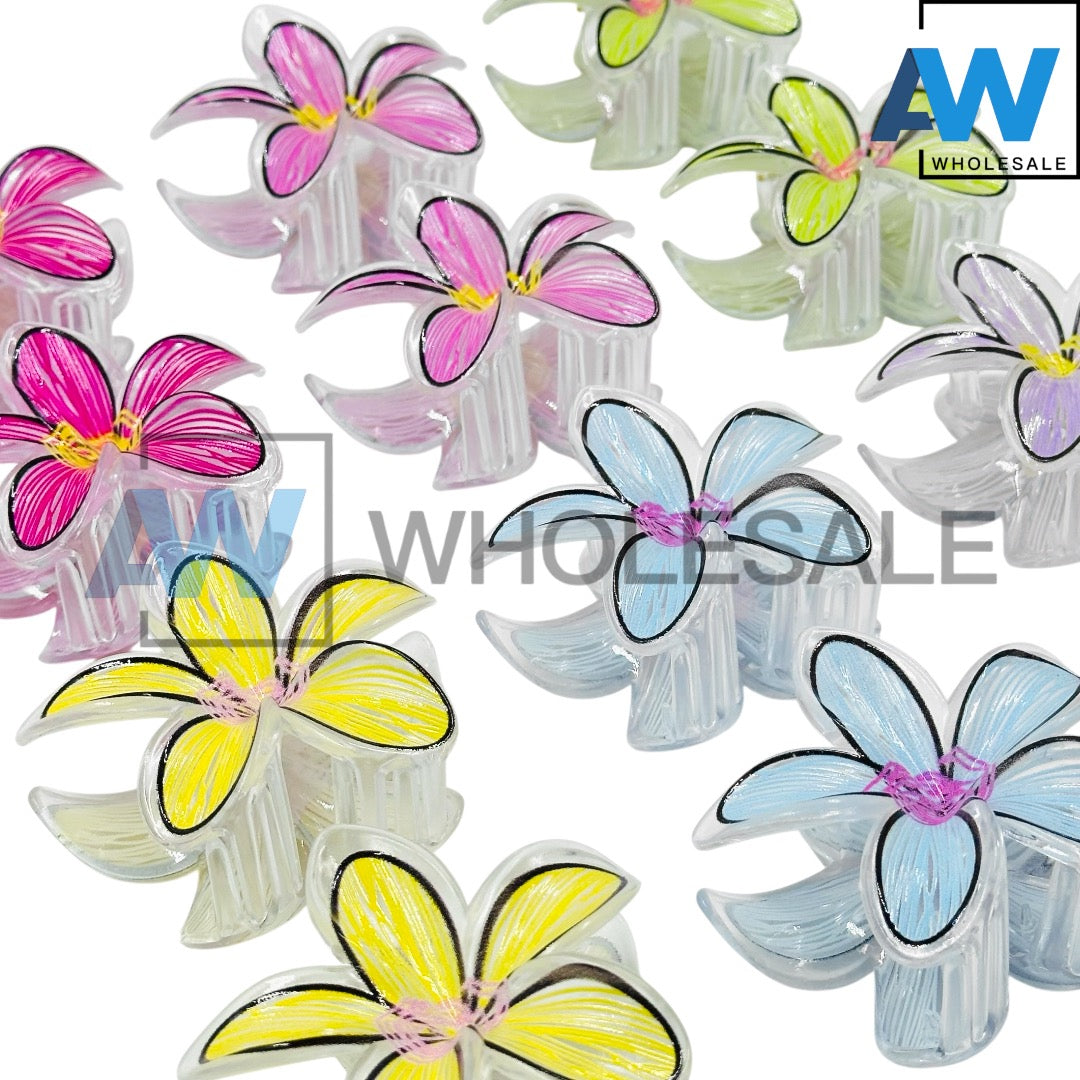 AB-1152 (12 pcs) Transparent 8 cm Hair Clamps